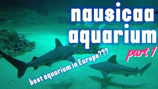 🇨🇵 NAUSICAA AQUARIUM  WALKING TOUR  4K UHD  part 1 [upl. by Nosna]