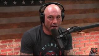 Joe Rogan  Bad Trips Are Beneficial [upl. by Yrkcaz]