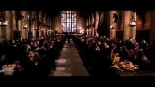 Harry Potter voice over 2  Het zweinpaleis [upl. by Mccreary]