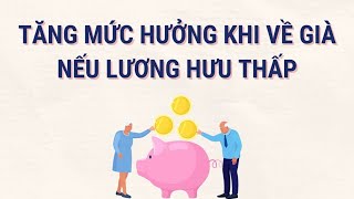 Cách người già tăng tiền lương hưu lên mức cao hơn  Báo Lao Động [upl. by Fitts429]