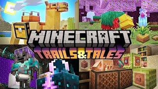 50 New Things Added to Minecraft 120 Trails amp Tales Update [upl. by Africah]