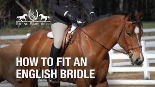 How To Fit an English Bridle on Your Horse [upl. by Queston]