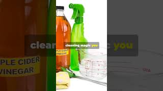 This Viral Cleaning Hack is a LIE cleaning [upl. by Eibocaj315]