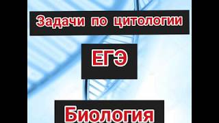 Задачи по молекулярной биологии в ЕГЭ Определение процентного содержания нуклеотидов в молекуле ДНК [upl. by Ylevol]