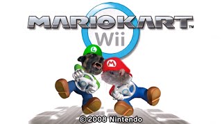 Lekker karten met LekkerSpelen  Mario Kart Wii [upl. by Cantu]