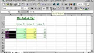 EXCEL Les 13 tekst uitlijnen [upl. by Neerbas]