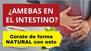 ¿SUFRES DE AMEBAS EN EL INTESTINO ¡CÚRATE DE FORMA NATURAL ameba [upl. by Kipton]