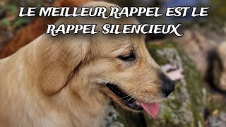 Le meilleur rappel est le rappel SILENCIEUX [upl. by Dalury]