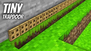 I found a TINY LONGEST TRAPDOOR in Minecraft  TINY PIT [upl. by Nylodnew]