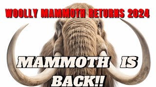 WOOLLY MAMMOTH RETURNS 2024 [upl. by Ilat698]