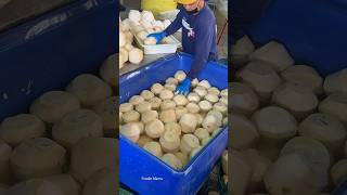 The Best Coconut Packaging Process in Thailand [upl. by Aenej]