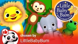 Animals Curated Playlist Intro  Nursery Rhymes  By Learn with Little Baby Bum [upl. by Muriah]