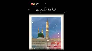 Har hal ma Allah pa brosa krnaislamic video viralvideo shorts video [upl. by Evaleen106]