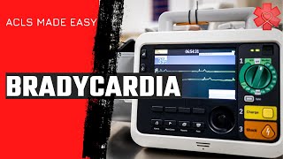 ACLS Bradycardia Algorithm [upl. by Hosea]