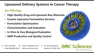 Liposomal Delivery System in Cancer Therapy  Liposomes Formulation [upl. by Stevy274]