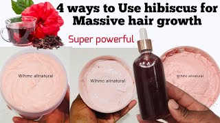 4 ways to use Hibiscus for hair growth How to use Hibiscus powder for hairDiy hibiscus amp clove oil [upl. by Vaughn]