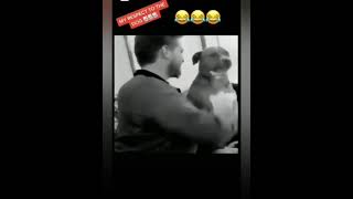 Annoyed dog slaps owner [upl. by Nilla]