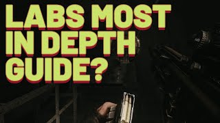 The most in depth labs guide of ALL TIME [upl. by Eilyak]