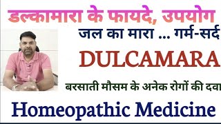 dulcamara homeopathic medicine uses in hindi  Dulcamara 200 Uses in Hindi  Dulcamara 30 in Hindi [upl. by Janyte]