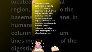 Simple columnar epithelium columnarepithelium epithelialtissue types youtubeshorts shorts [upl. by Anaihk]