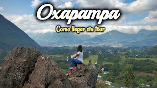 OXAPAMPA POR CUENTA PROPIA Como llegar y Presupuesto [upl. by Osborn]