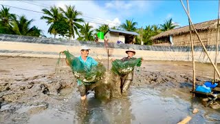 TÁT AO BỎ HOANG  BẮT CÁ GẦN 50 KÝ  CHÒI LÁ QUÊ  T 28 [upl. by Pizor]