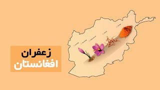 Afghanistan Journal  زعفران افغانستان [upl. by Camfort]