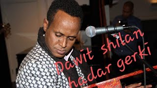 ERITREAN MUSIC DAWIT SHILAN HADAR GHERKI [upl. by Clarey]