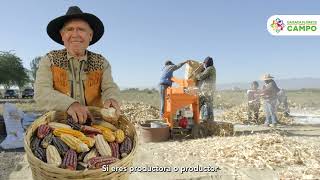 Oaxaca florece con el campo [upl. by Valente]