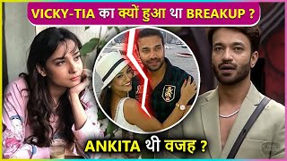 Vicky Jain Was Dating Actress Tia Bajpai Before Meeting Ankita Lokhande Breakup Reason Revealed [upl. by Nivrae]