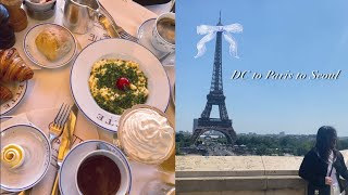 Nursing school diaries  finals week flight to Paris and Korea Carette brunch [upl. by Chenee]