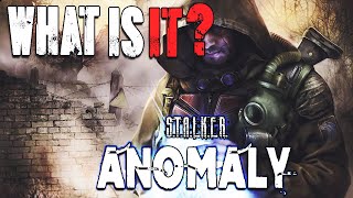 STALKER Anomaly  What is it [upl. by Aehtrod]