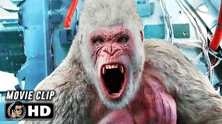 Gorilla Vs Airplane Scene  RAMPAGE 2018 Dwayne Johnson Movie CLIP HD [upl. by Ihculo632]