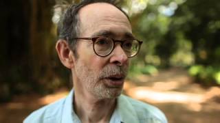 ONCOTOEntrevista Arto Lindsay [upl. by Akinas]