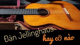 Đàn guitar Jellinghaus HAY CỠ NÀO  xem clip thấy nhói tim [upl. by Sibella]