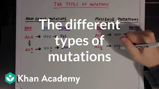 The different types of mutations  Biomolecules  MCAT  Khan Academy [upl. by Linnette901]