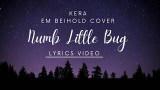 KERA  Numb Little Bug Em Beihold cover [upl. by Adnolaj]