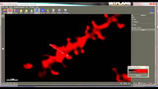 Expert Imaris Tip  How to Reconstruct Dendrites with FilamentTracer Semiautomatic Tools [upl. by Darlleen]