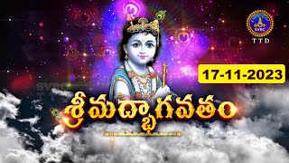 శ్రీమద్భాగవతం  Srimad Bhagavatham  Kuppa Viswanadha Sarma  Tirumala  17112023  SVBC TTD [upl. by Thomasine449]