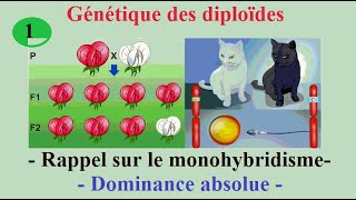 1 Génétique des diploïdes  Rappel sur le monohybridisme cas de dominance absolue [upl. by Lind]