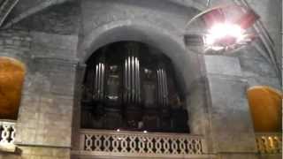 Orgue de léglise SaintJeanBaptiste de Bagnolssur Cèze [upl. by Elyn]