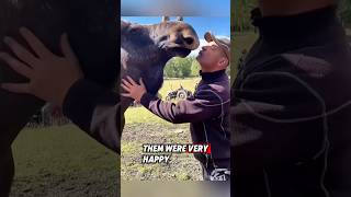 This kind man rescued a helpless moose calf and helps it find a new life rescue moose [upl. by Netsriik]