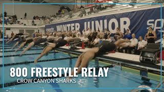 Crow Canyon Sharks Bring Home Gold in Close Womens 800 Free Relay  2023 Speedo Winter Juniors West [upl. by Eignat91]