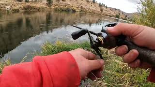 Nice steelhead on Deschutes River [upl. by Kitti]