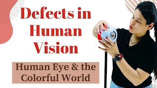 Defects in Human Vision  Human Eye and the Colourful World  Class 10 Science  NCERT [upl. by Philbert]