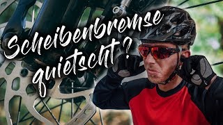 Wie du quietschende Scheibenbremsen los wirst  Leidenschaft MTB [upl. by Atiuqes]