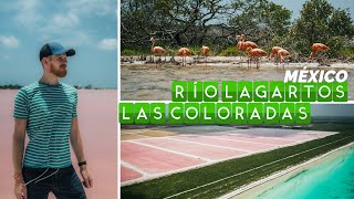 ¿QUÉ HACER en RÍO LAGARTOS y las LAGUNAS ROSADAS de LAS COLORADAS  Vagajuntos en Yucatán 3 [upl. by Aissirac]