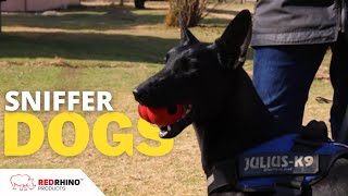 How Sniffer Dogs Are Trained  Dogs  Endangered Wildlife Trust [upl. by Vevina272]