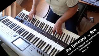 Joe Temerario by Ron Impro Cover by Aldo Piancone [upl. by Hsot]