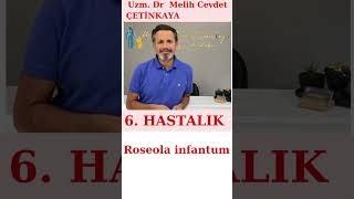 6 HASTALIK ROSEOLA INFANTUM [upl. by Ellivnarg]